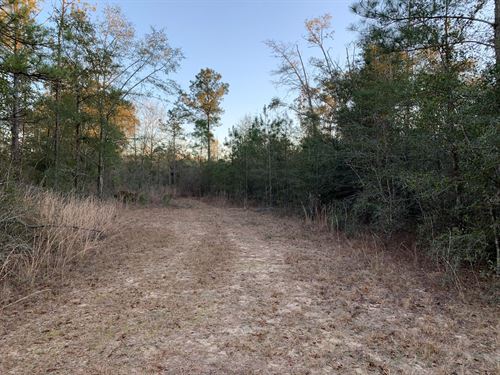 Land in Jackson County, Florida : Campbellton : Jackson County : Florida