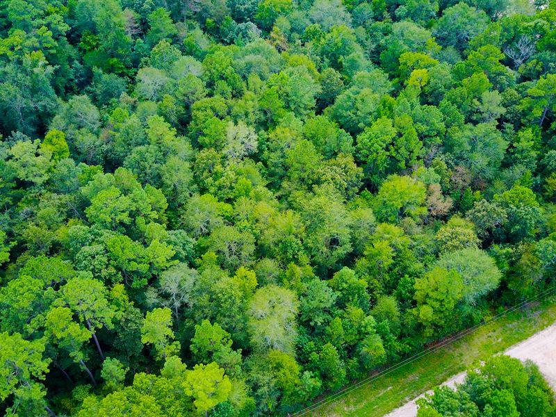 Beautiful Acreage in Polk County Land for Sale by Owner in Corrigan