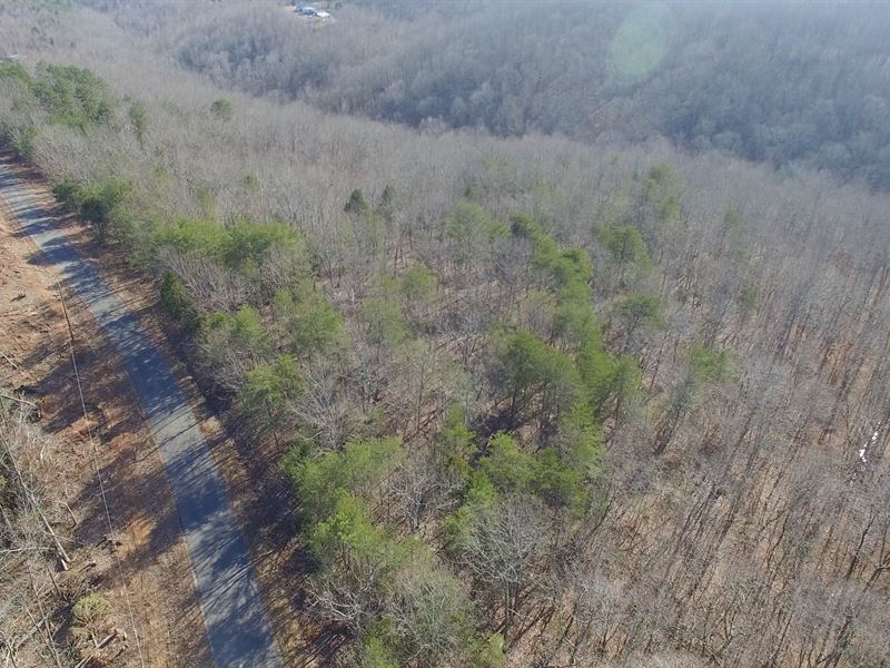 61.5 Acres New Era Ridge Rd : Linden : Perry County : Tennessee