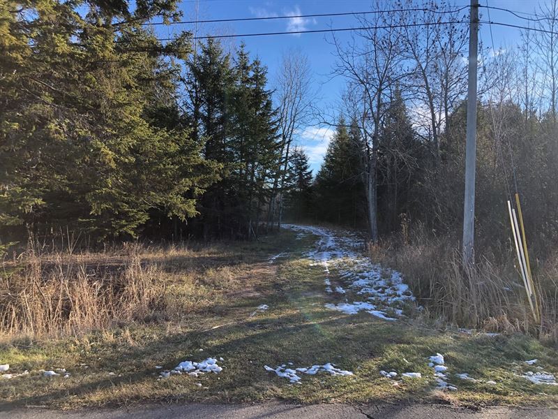 Land in International Falls, MN : International Falls : Koochiching County : Minnesota