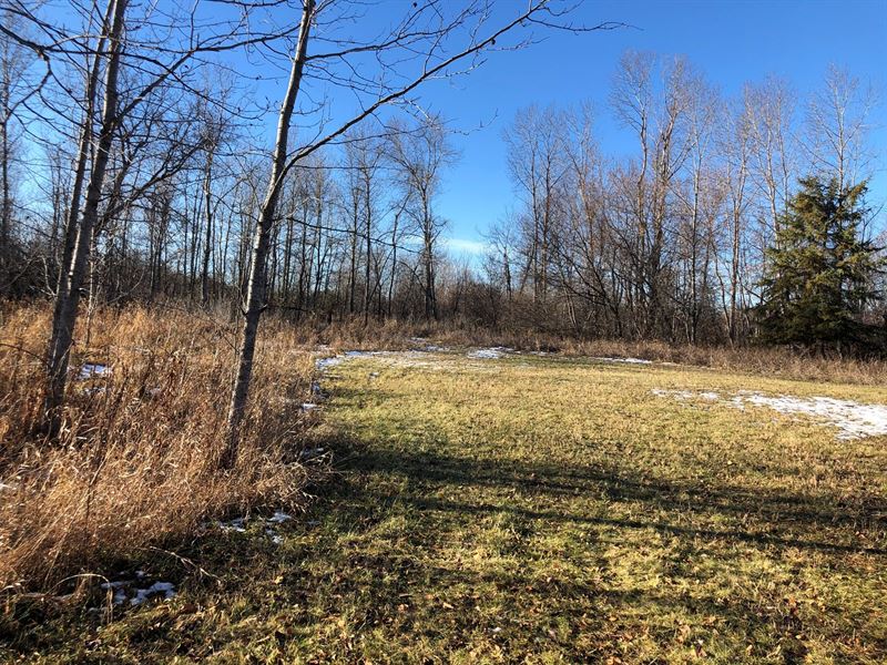 Land in International Falls, MN : International Falls : Koochiching County : Minnesota