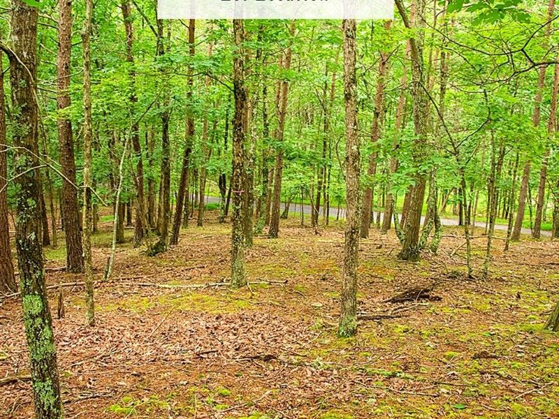 2.79 Acres Only $1Dn, $299/Mo : Springfield : Hampshire County : West Virginia