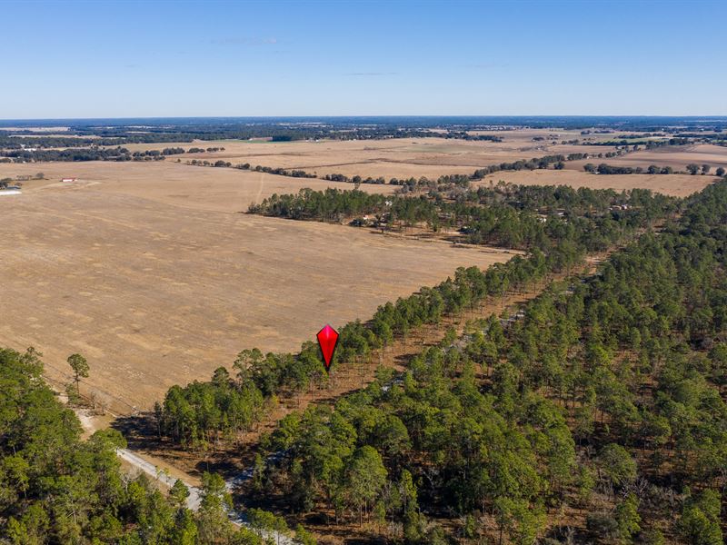 A Little Haven in Marion County : Dunnellon : Marion County : Florida