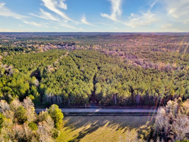 Timberland, Investment/Recreation : Gibsland : Bienville Parish : Louisiana