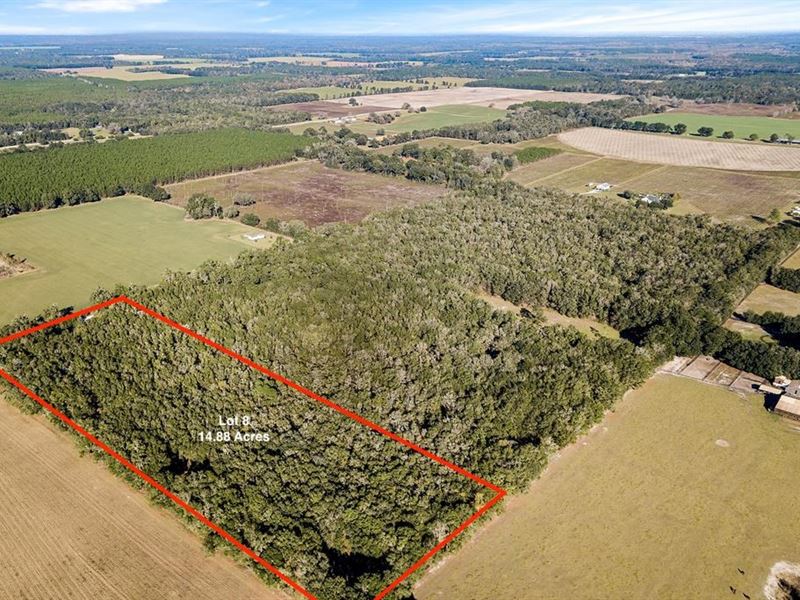 14.88 Acres in Bell, FL : Bell : Gilchrist County : Florida