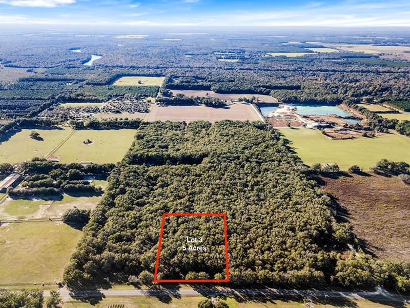 5 Acres in Bell, FL : Bell : Gilchrist County : Florida