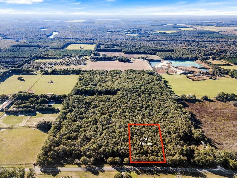 5 Acres in Bell, FL : Bell : Gilchrist County : Florida