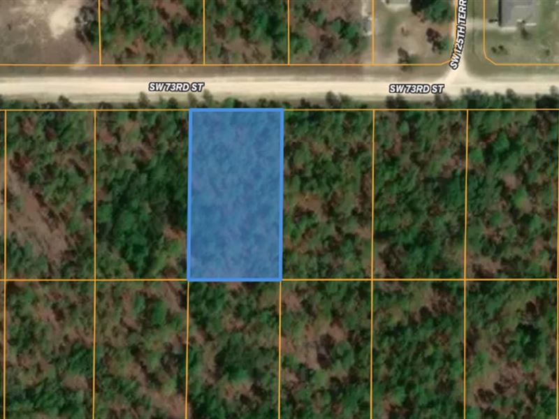 Desirable Area of Rolling Hills Land for Sale by Owner in Ocala