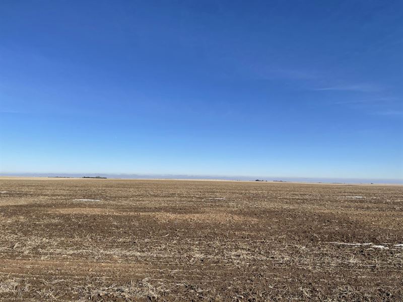 Haxtun North Land Auction : Haxtun : Phillips County : Colorado