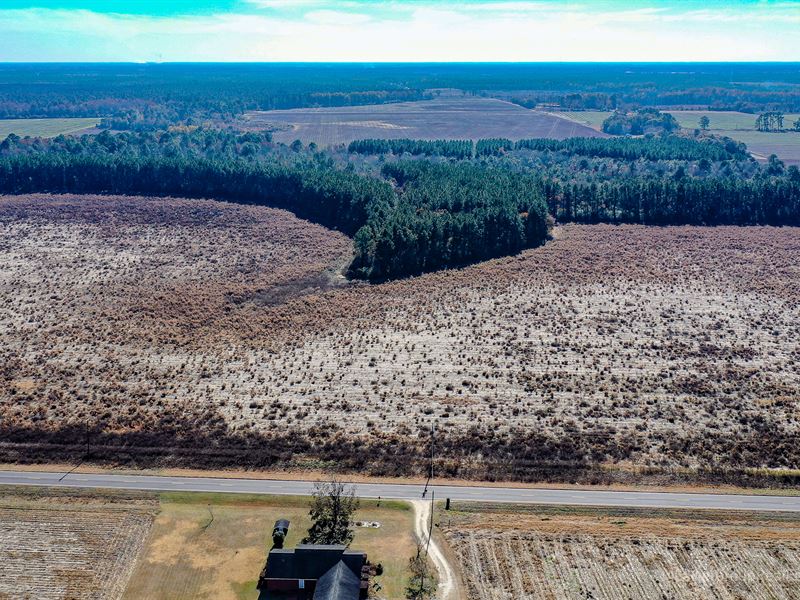 Recreational Tract, Appling County : Baxley : Appling County : Georgia