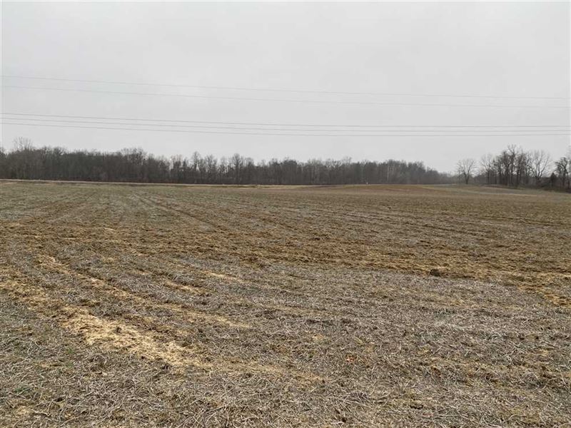 Land For Sale Clay County, Indiana : Center Point : Clay County : Indiana