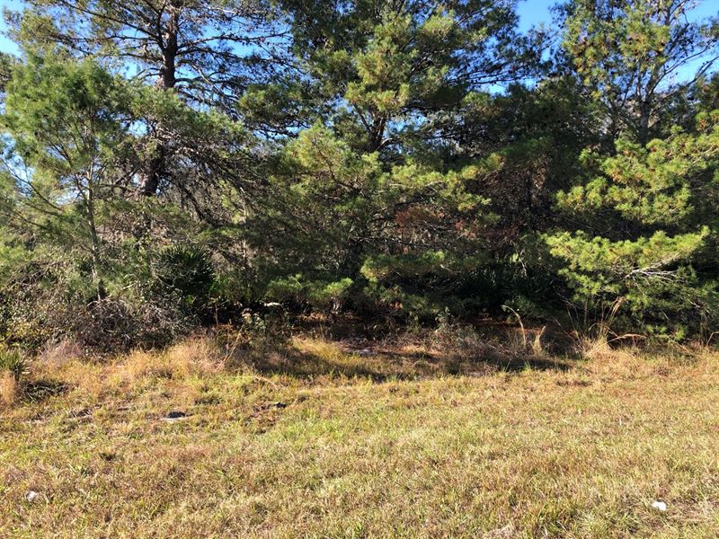 1 Acre Vacant Tract, No Hoa : Frostproof : Polk County : Florida
