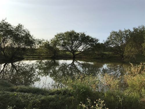 114 Acres, Ranch, Hunting : Chilton : Falls County : Texas
