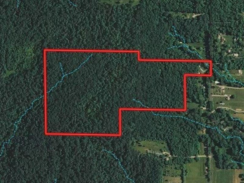 59 Ac Recreational Timber Land : Bloomington : Monroe County : Indiana