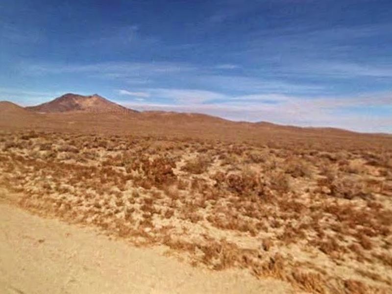 39.43 Acres Humboldt County, NV : Winnemucca : Humboldt County : Nevada