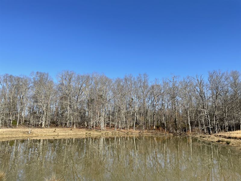 157+- Acres in Walker County : Chickamauga : Walker County : Georgia