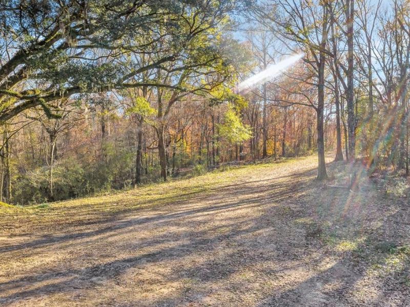 hunting land for sale in louisiana