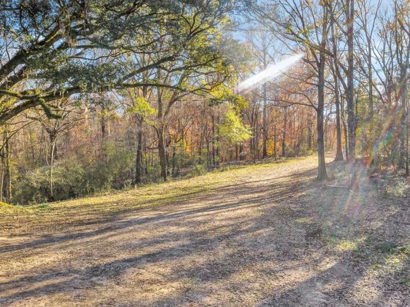 683 Acres Hardwood Hunting Land Land for Sale in Saint Francisville
