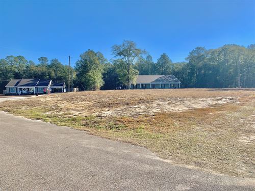 Land For Sale in Geneva, Alabama : Geneva : Alabama