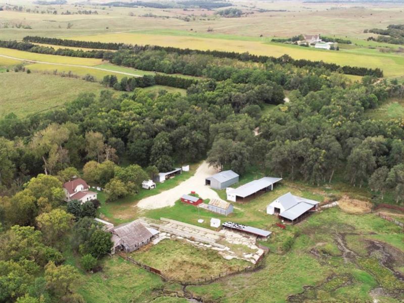 Pete's Creek Ranch : Burke : Gregory County : South Dakota