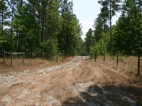 Wilmont Mill- Upson Co., Ga-950 Ac. : Thomaston : Upson County : Georgia