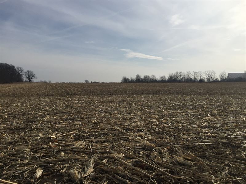 Acreage for Sale Selma, Indiana : Selma : Delaware County : Indiana