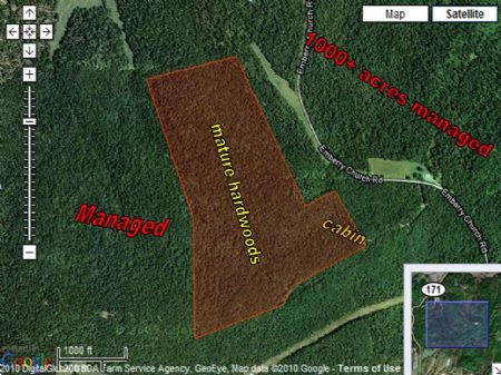Todd County Mature Timber/bucks : Elkton : Todd County : Kentucky
