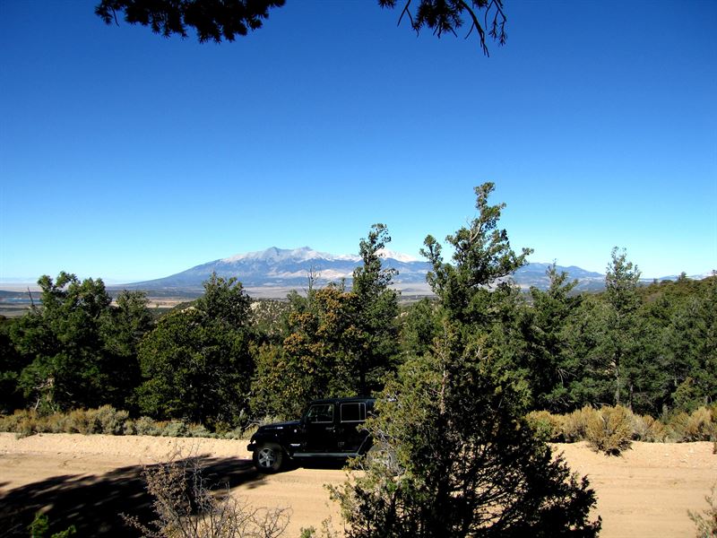 18.8 Private Acres with Trees : Fort Garland : Costilla County : Colorado