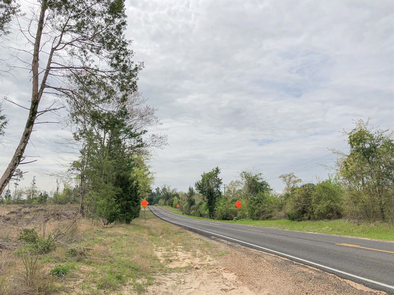 87 Acres Fm 1399 Tract 1016 : Linden : Cass County : Texas