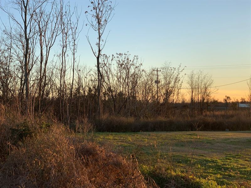 Land for Sale Jackson County, FL : Grand Ridge : Jackson County : Florida