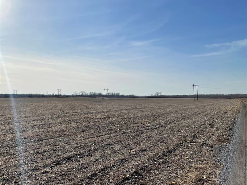 101 Acres MO River Bottom Row Crop, Land for Sale in Missouri, 265194