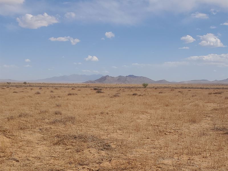1.1 Ac Is Waving TO You, Grab Now : Kingman : Mohave County : Arizona