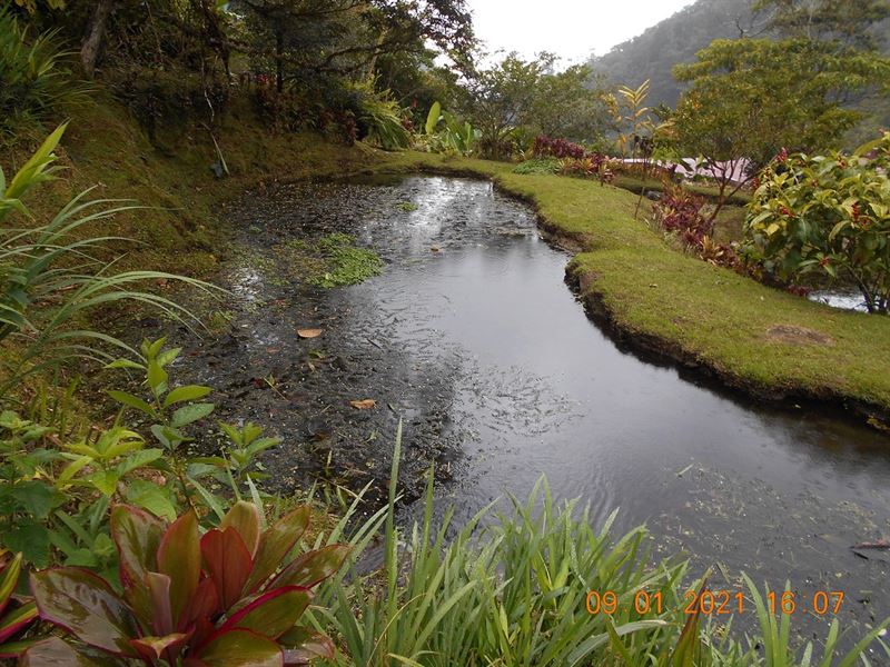Best Bird Watching Hotel, Waterfall : Cachi De Cartago : Costa Rica