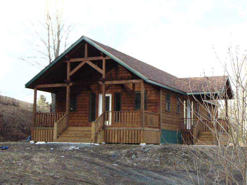 Log HomeDelaware River Access Land for Sale in Deposit, Broome