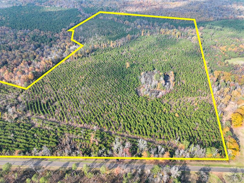 114 Acres, Fm 130 Maya 1015 : Hughes Springs : Cass County : Texas