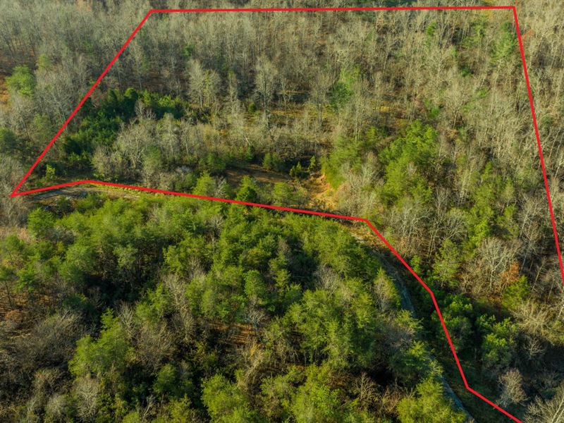 Unrestricted 4.5 Acres : Crossville : Cumberland County : Tennessee