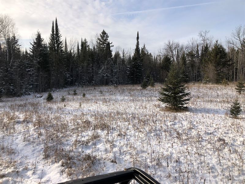 Land For Sale in Ray, MN Land for Sale in Ray, Koochiching County