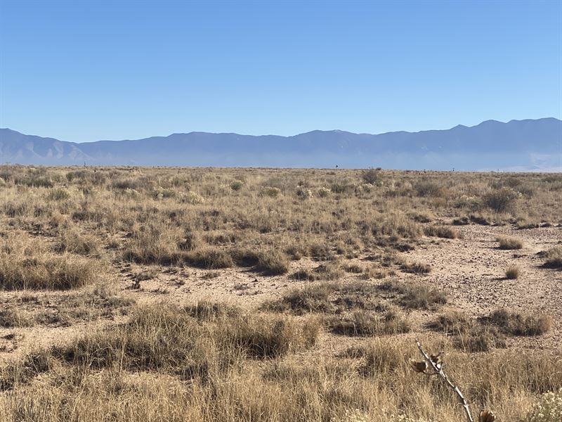 .5 Acres, Investment & Recreation : Rio Communities : Valencia County : New Mexico