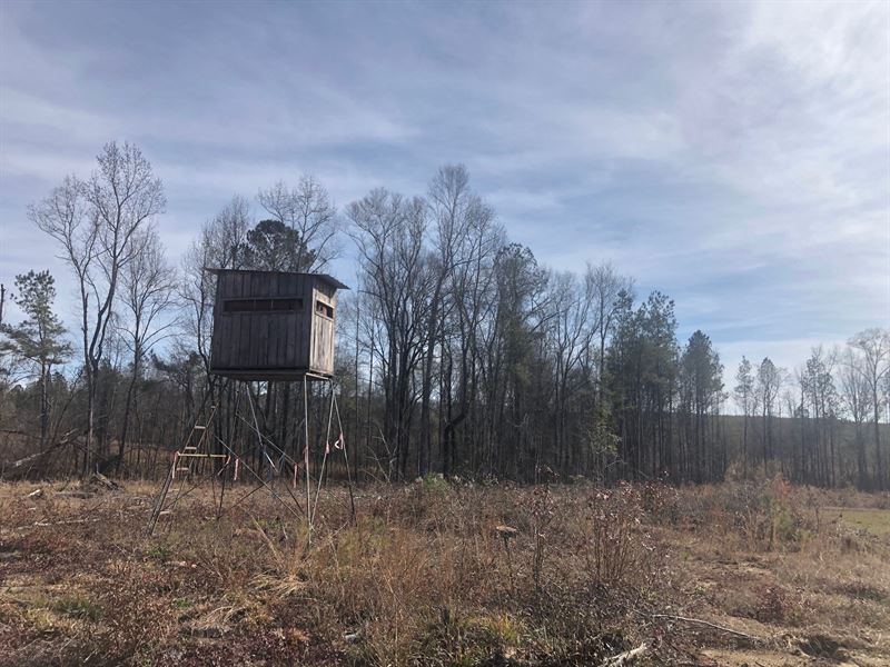 Overland Way Tract : Aaron : Jones County : Georgia