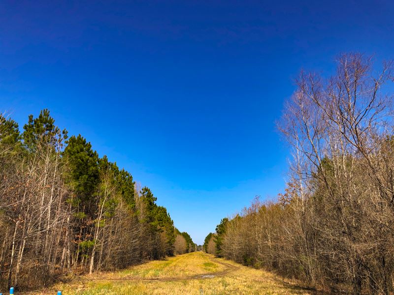 108 Ac T-2 Cherry Creek : Cleveland : Liberty County : Texas