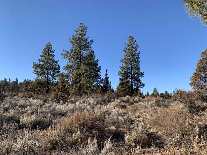Build Your Life on 2.4 Acres : Chiloquin : Klamath County : Oregon