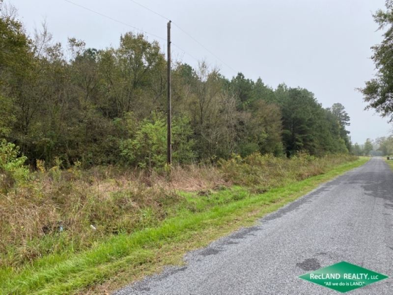 34.5 Ac, Crp Income & Hunting : Oak Grove : West Carroll Parish : Louisiana