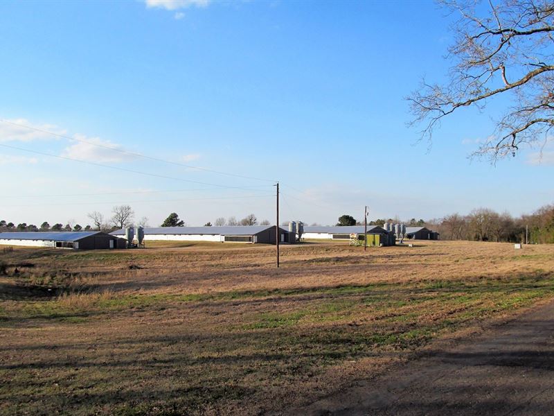 Poultry Farm, Country Home, 28 : Winnsboro : Wood County : Texas