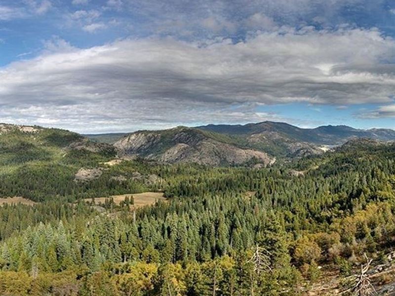 122 Acres, Off Grid : Emigrant Gap : Placer County : California