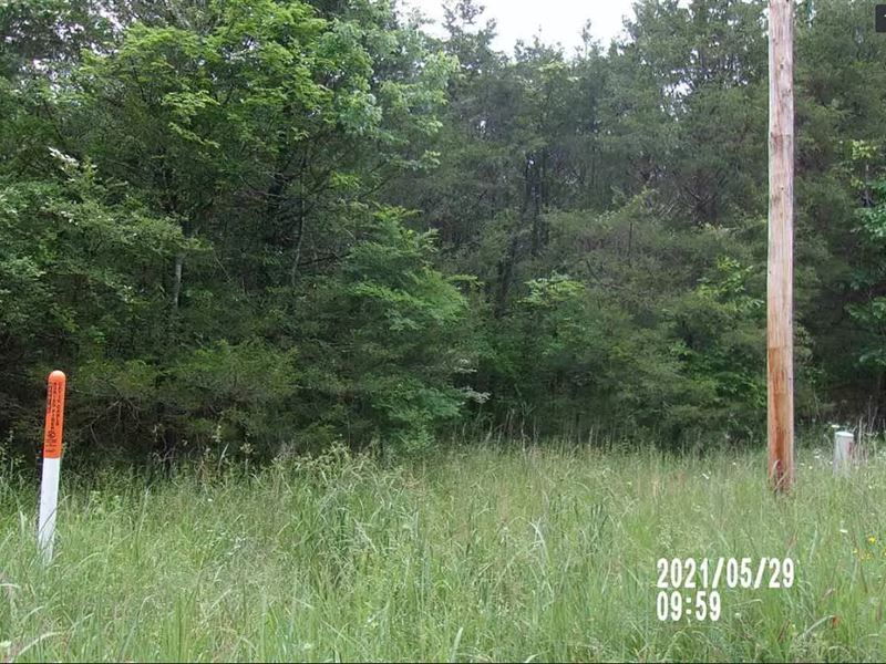.21 Acre in Diamond City, Arkansas : Diamond City : Boone County : Arkansas