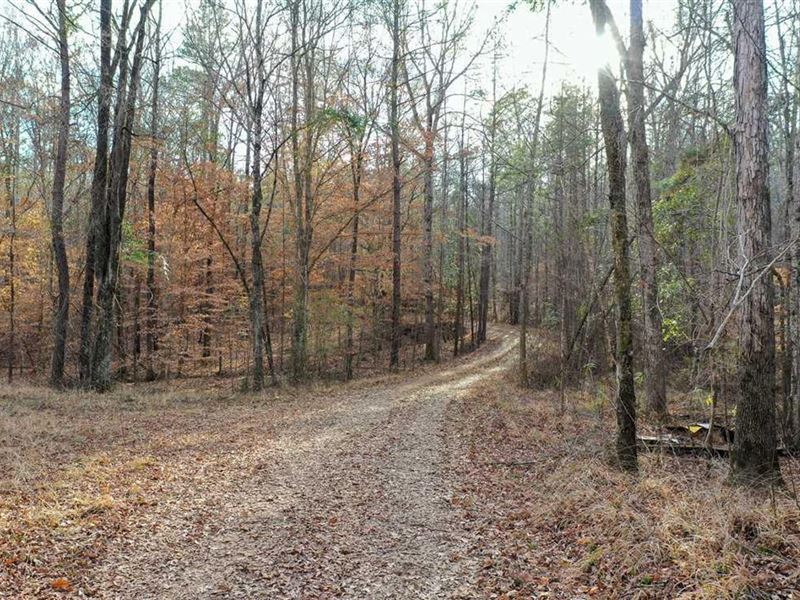 Elmore County Hunting Land, 584 Bea : Wetumpka : Elmore County : Alabama