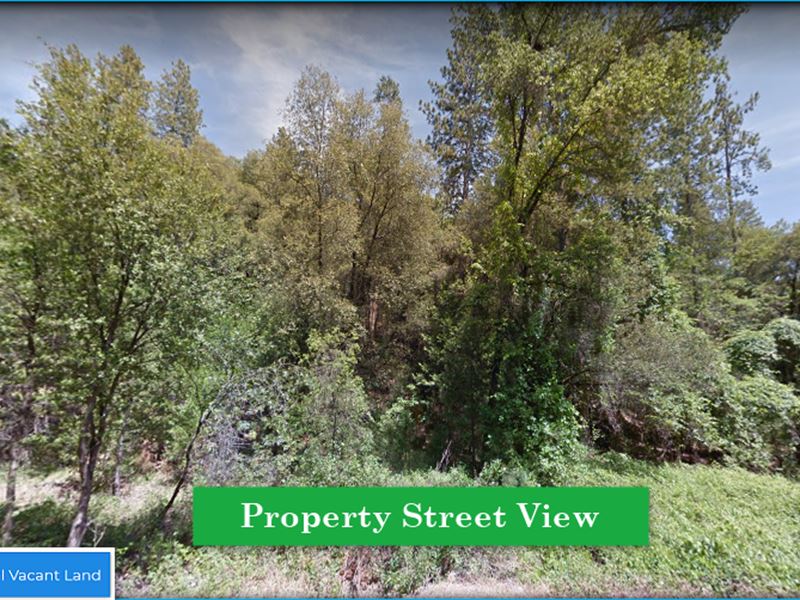 A Peaceful 2.59 Acres Lot : Jackson : Amador County : California