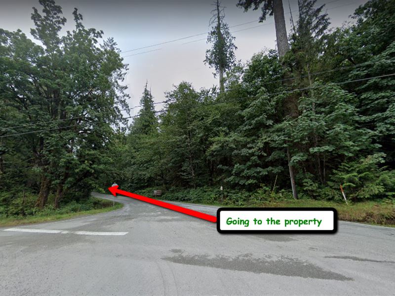 A Property Near in Skykomish River : Gold Bar : Snohomish County : Washington