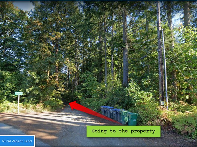 Fresh Air in Plush Green Land : Port Orchard : Kitsap County : Washington