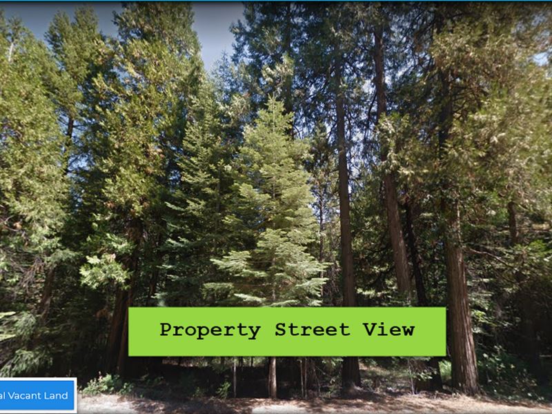 A Stunning Lot : Pioneer : Amador County : California